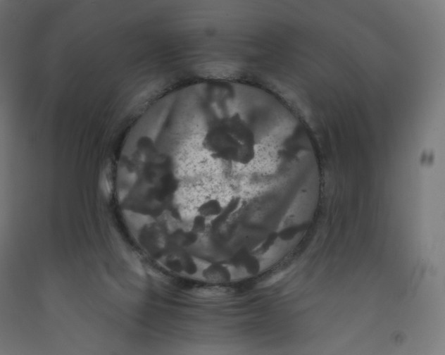 X0000091880069200710031750