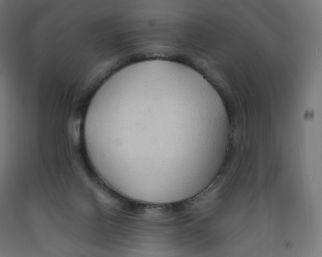 X0000091880070200710031750