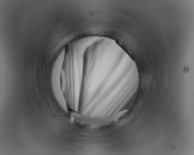 X0000091880072200710031750