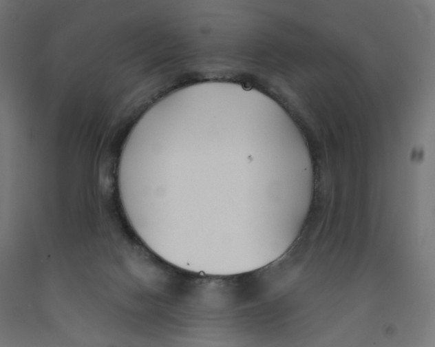 X0000091880074200710031750