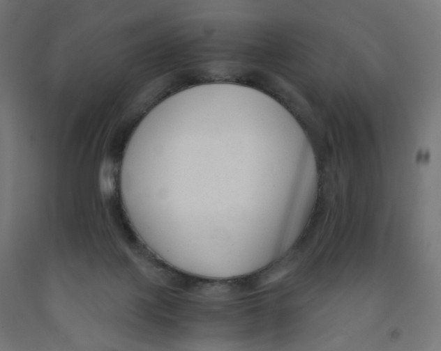 X0000091880075200710031750