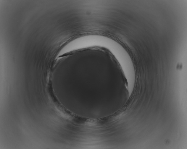 X0000091880076200710031750