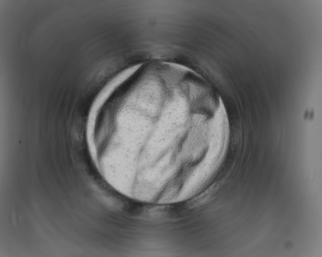 X0000091880078200710031750