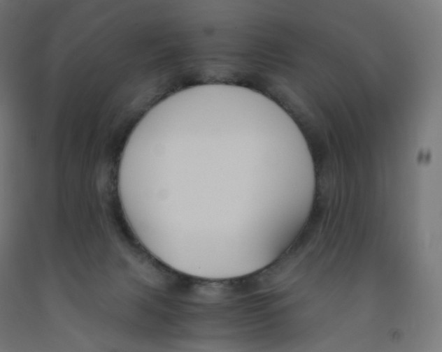 X0000091880079200710031750