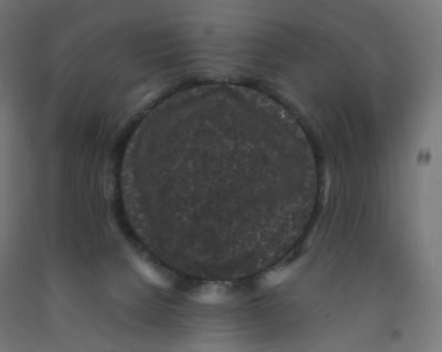 X0000091880080200710031750