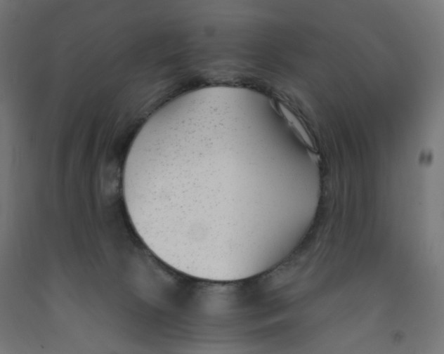 X0000091880081200710031750