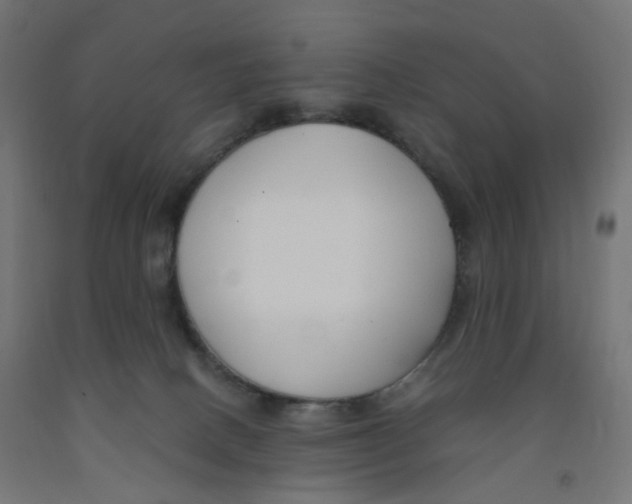 X0000091880082200710031750