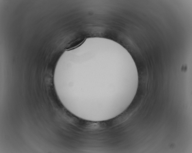 X0000091880083200710031750