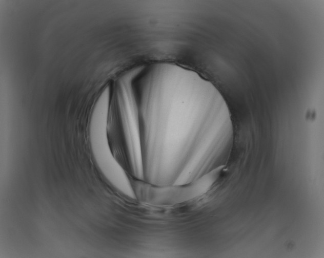 X0000091880084200710031750