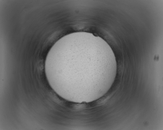 X0000091880085200710031750