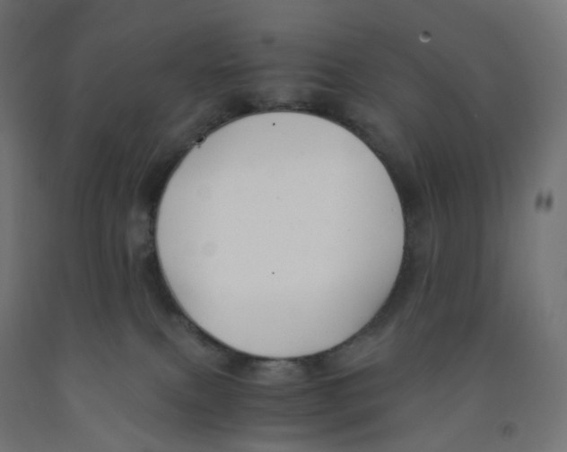 X0000091880087200710031750