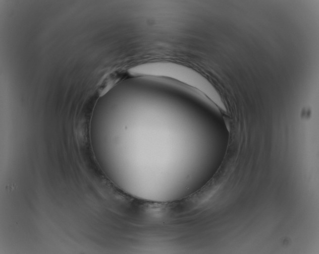 X0000091880088200710031750