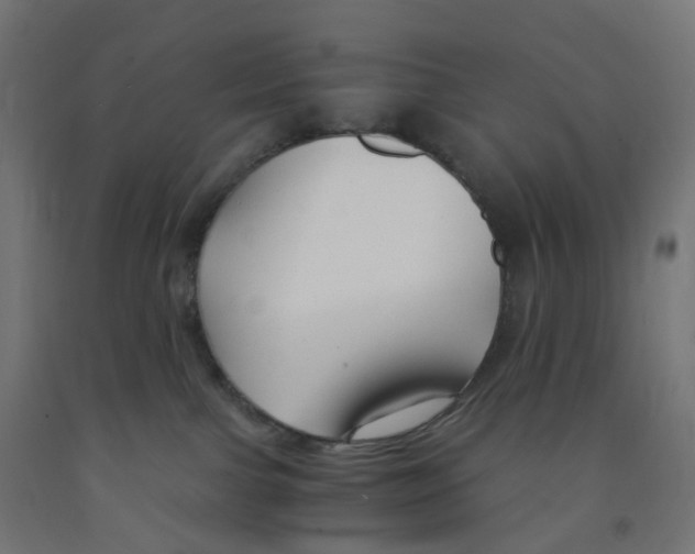 X0000091880091200710031750