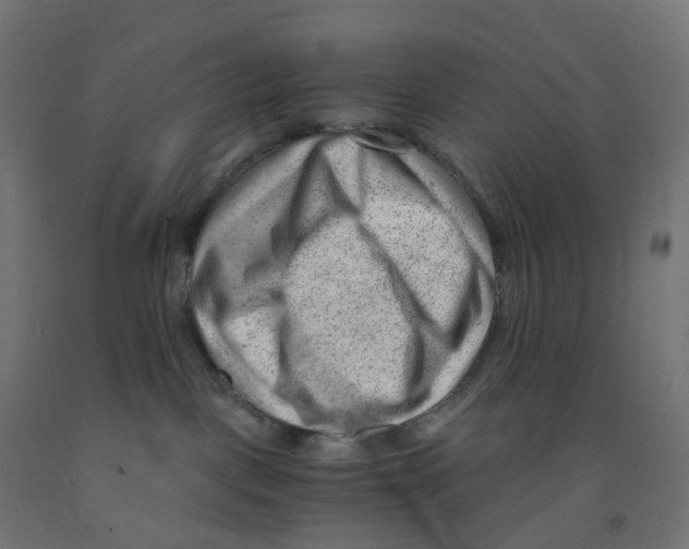 X0000091880093200710031750