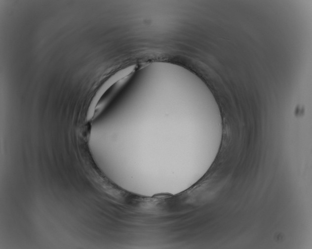 X0000091880096200710031750