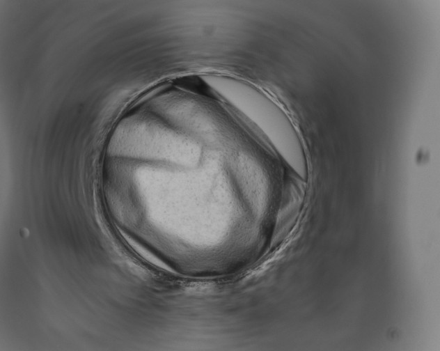 X0000091880097200710031750