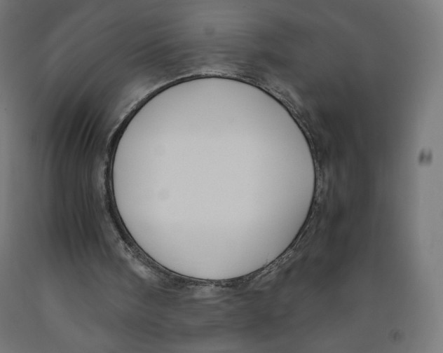 X0000091880098200710031750