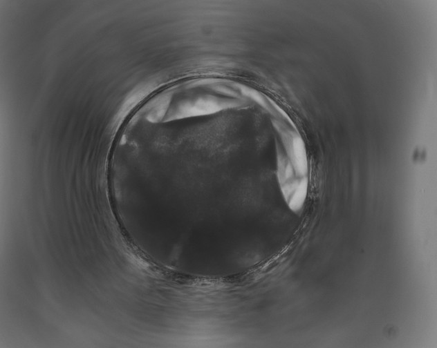 X0000091880099200710031750