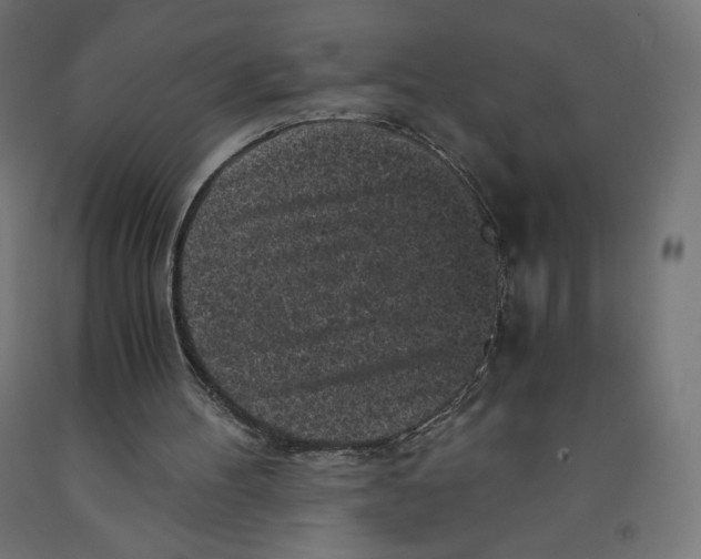 X0000091880100200710031750