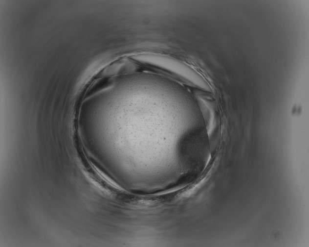 X0000091880101200710031750