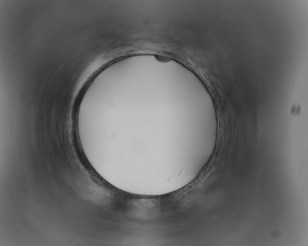 X0000091880102200710031750