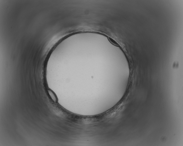 X0000091880103200710031750