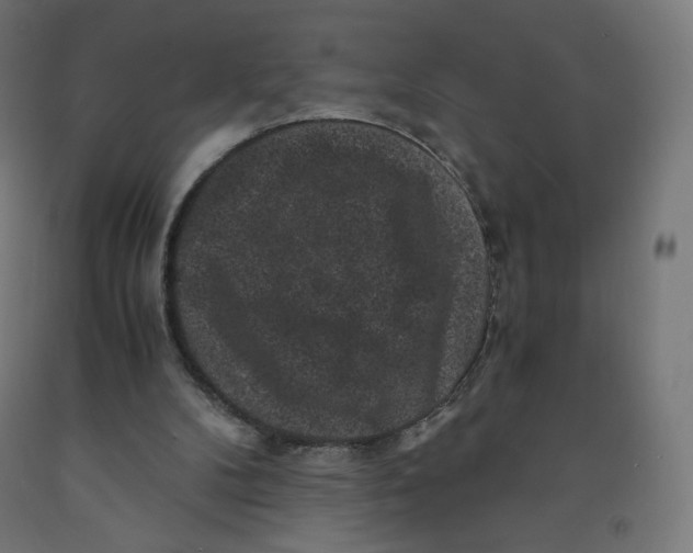 X0000091880104200710031750