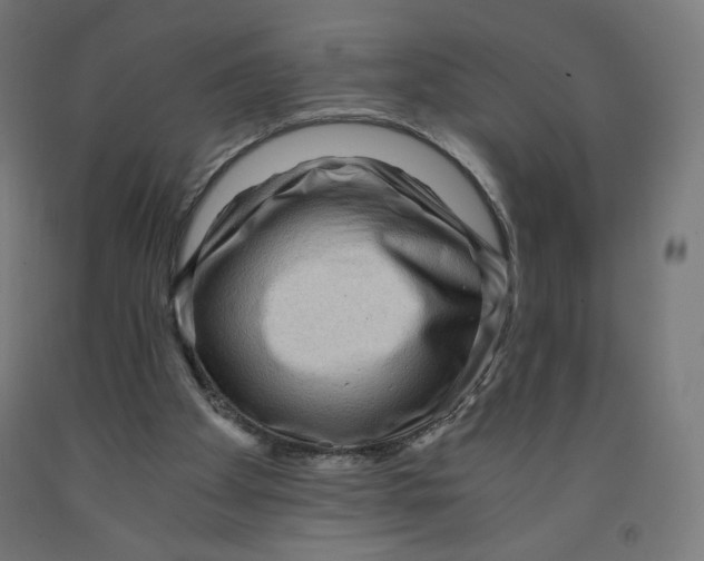 X0000091880105200710031750