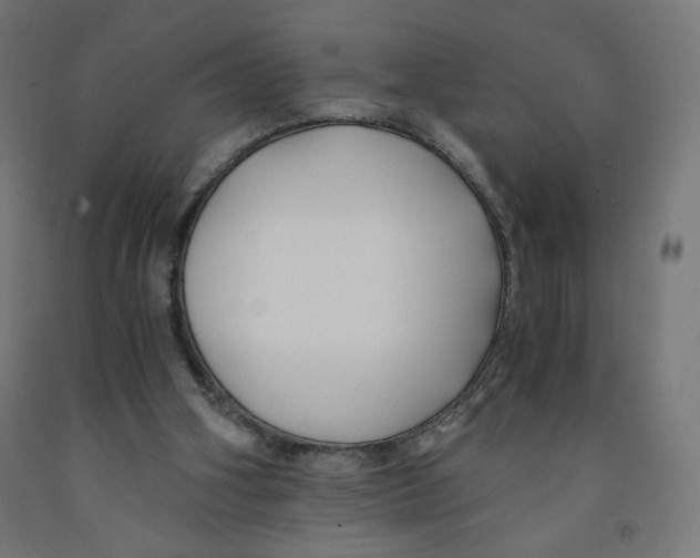 X0000091880106200710031750