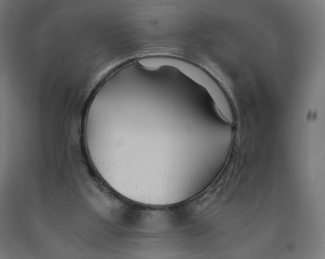 X0000091880107200710031750