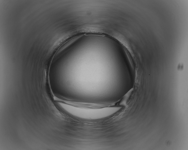 X0000091880109200710031749