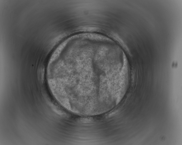 X0000091880110200710031749