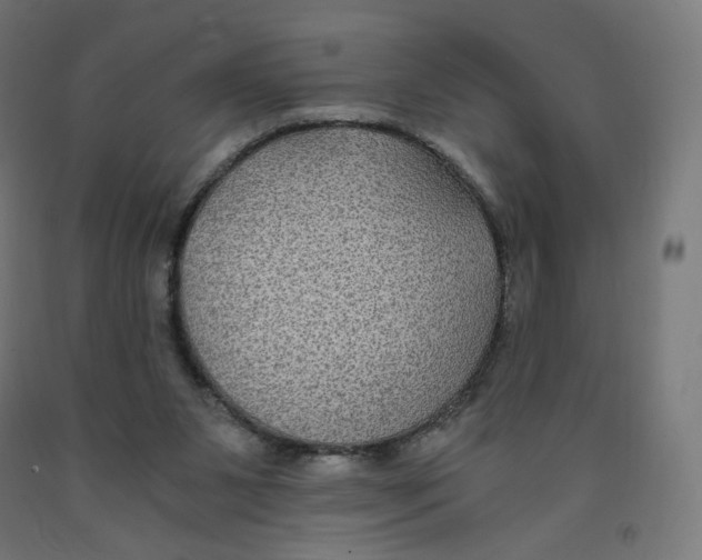 X0000091880111200710031749