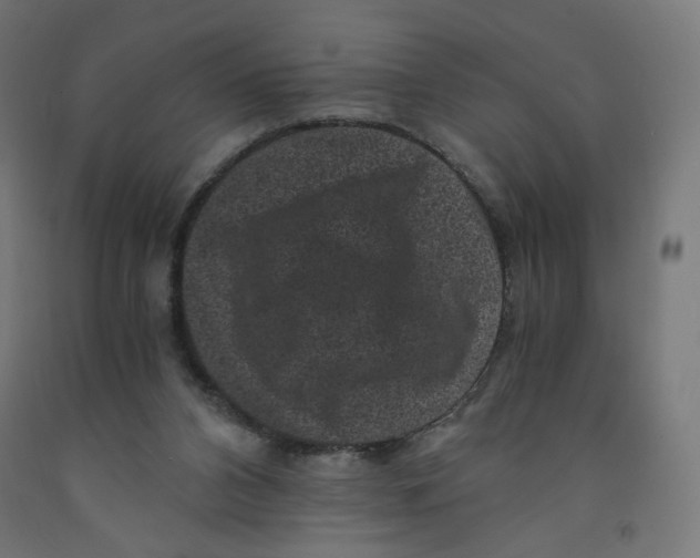 X0000091880112200710031749