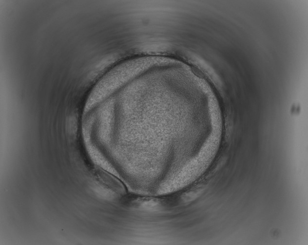 X0000091880113200710031749