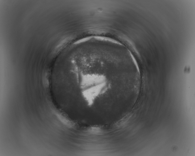 X0000091880114200710031749