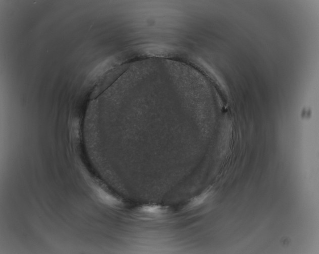 X0000091880117200710031749