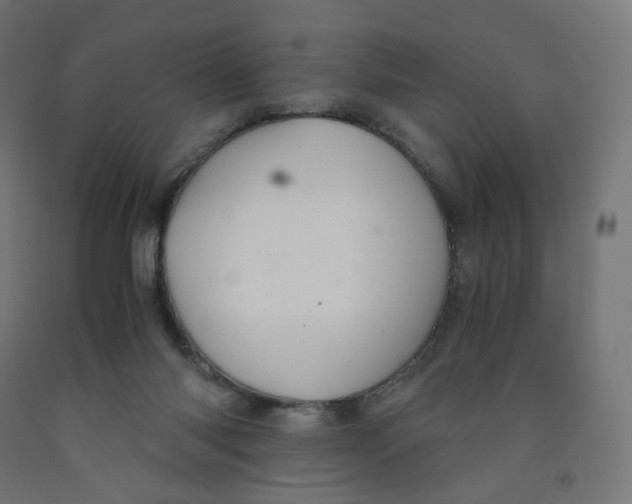 X0000091880118200710031749