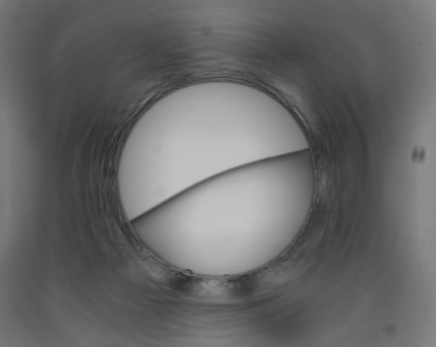 X0000091880121200710031749