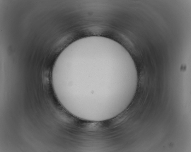 X0000091880122200710031749