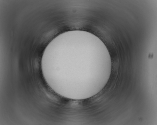 X0000091880126200710031749