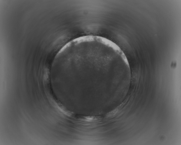 X0000091880130200710031749