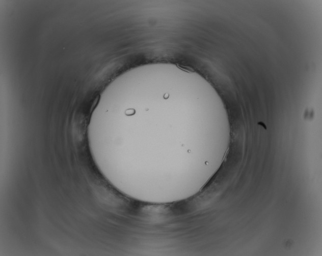 X0000091880133200710031749