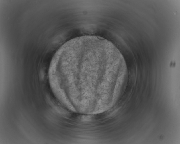 X0000091880134200710031749