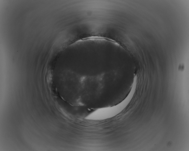 X0000091880137200710031749