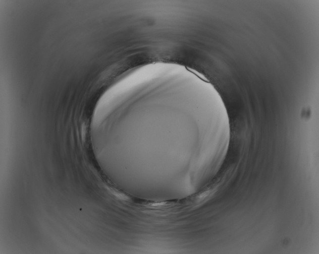 X0000091880139200710031749