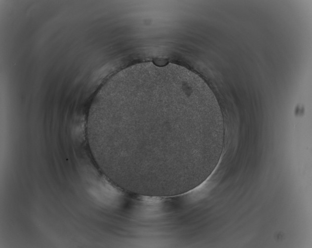 X0000091880144200710031749