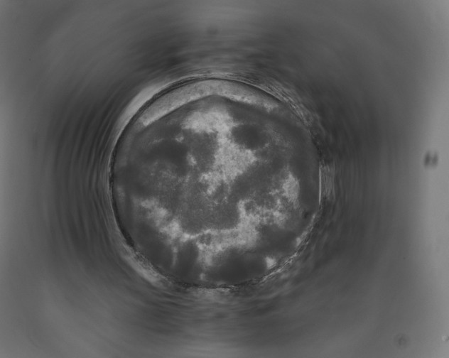 X0000091880147200710031748