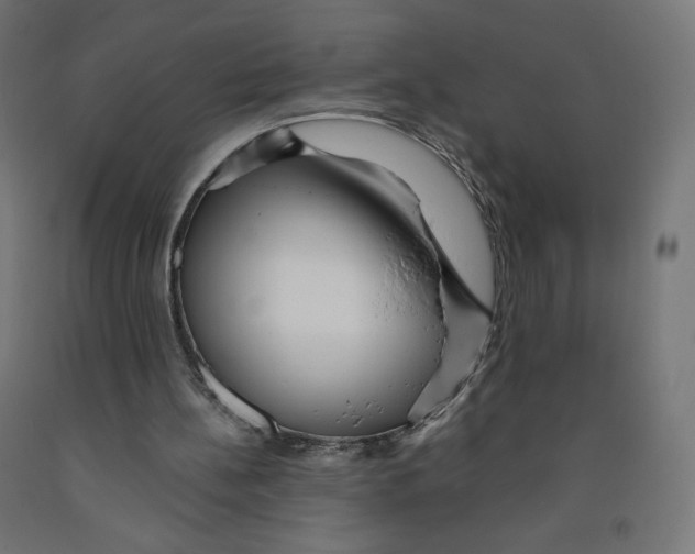 X0000091880148200710031748