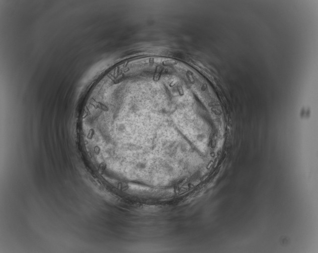 X0000091880149200710031748